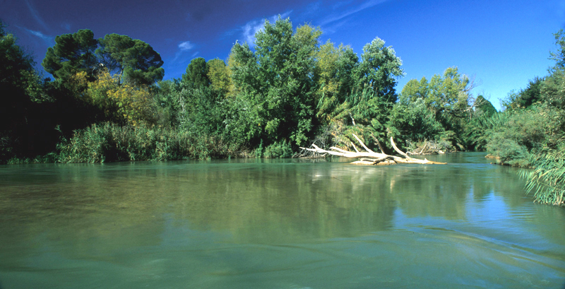 Paisaje – Campos de Hellín